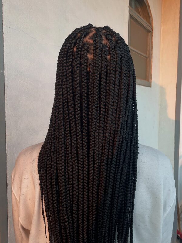 Box Braids — vista traseira do comprimento